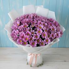 Букет цветов из:  Хризантемы #REPLACE_PRED# Тюбе