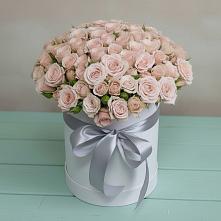 Цветочная композиция из Розы в шляпной коробке в Тюбе