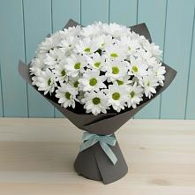 Букет цветов из:  Хризантемы #REPLACE_PRED# Тюбе