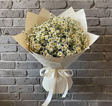 Букет цветов из:  Ромашки #REPLACE_PRED# Тюбе