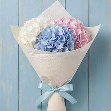 Букет цветов из:  Гортензия в Тюбе