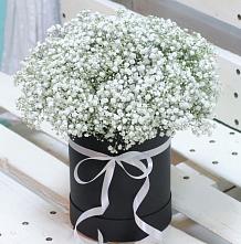 Цветочная композиция из Гипсофила в шляпной коробке #REPLACE_PRED# Тюбе