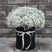 Цветочная композиция из Гипсофила в шляпной коробке в Тюбе