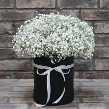 Цветочная композиция из Гипсофила в шляпной коробке в Тюбе