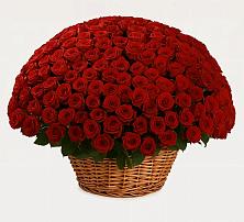 Премиум букет из: Розы в Тюбе