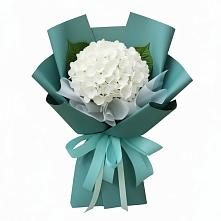 Букет цветов из:  Гортензия #REPLACE_PRED# Тюбе